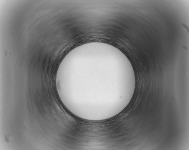 X0000103310280200808291159
