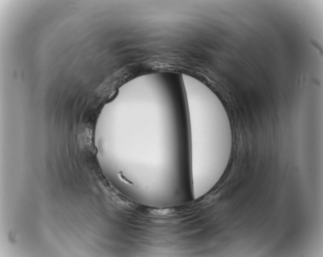 X0000103310281200808291159