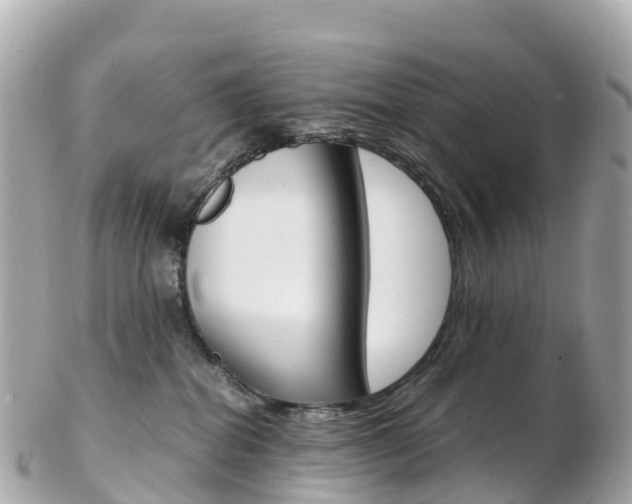 X0000103310282200808291159