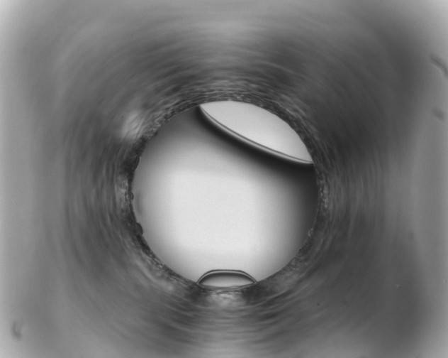 X0000103310283200808291159