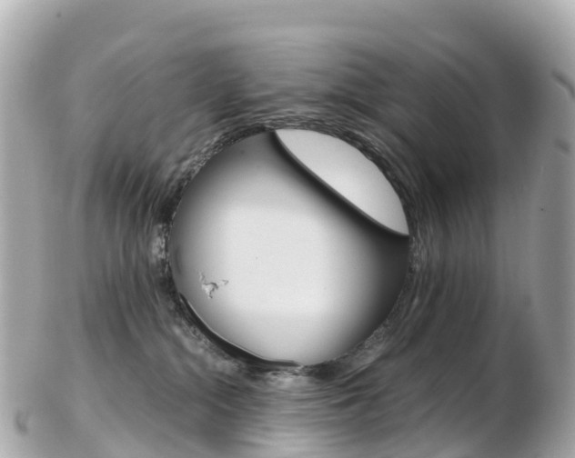 X0000103310284200808291159