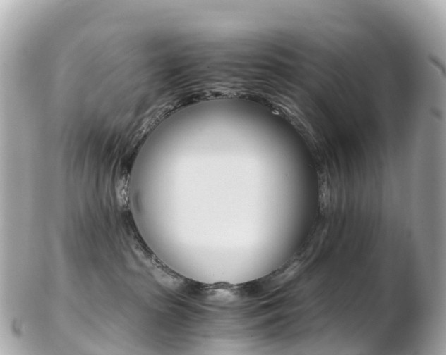 X0000103310285200808291159