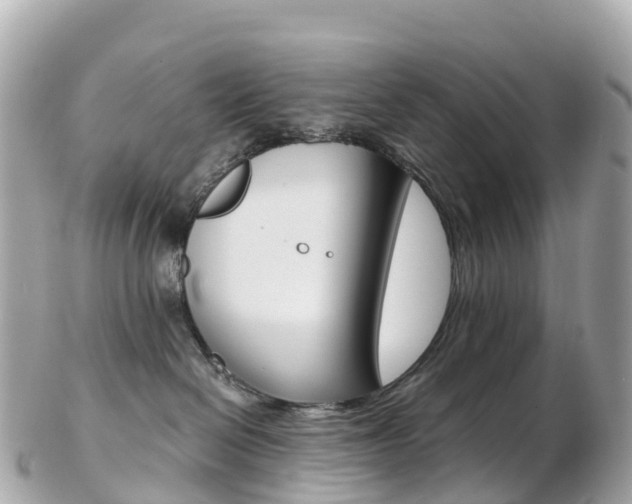 X0000103310286200808291159