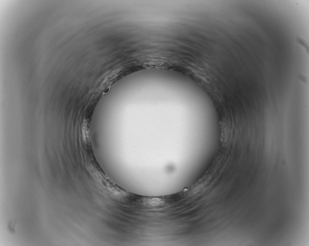 X0000103310287200808291159
