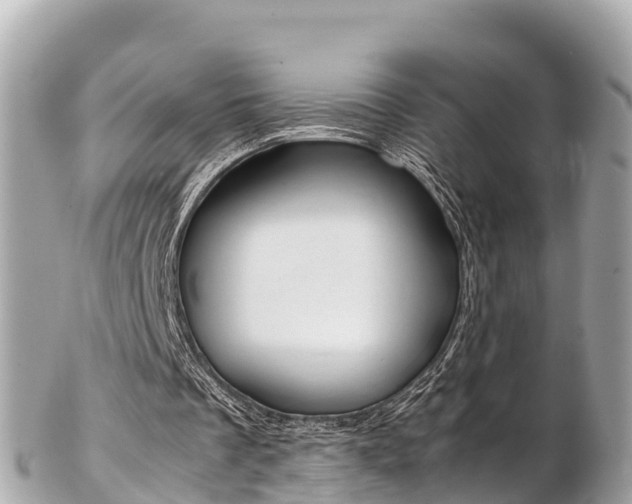 X0000103310289200808291158