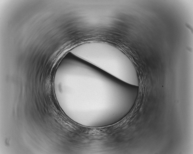 X0000103310290200808291158