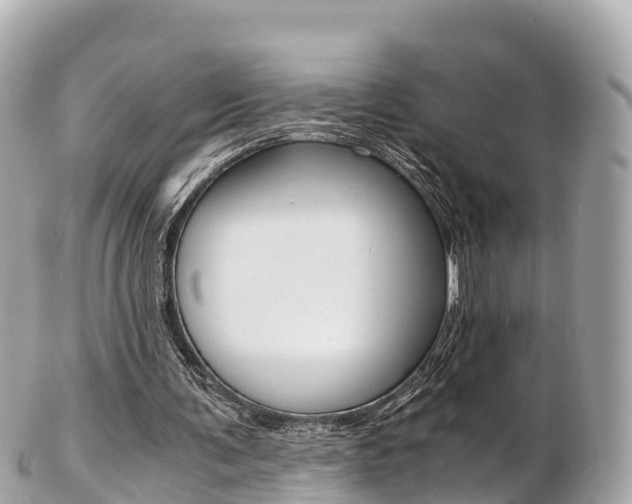 X0000103310291200808291158