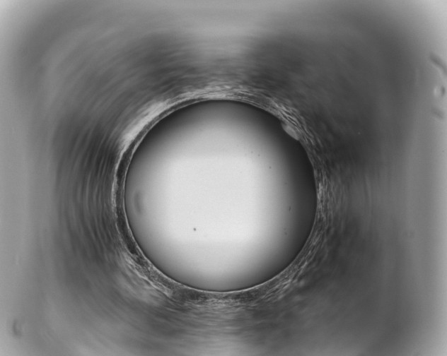 X0000103310292200808291158