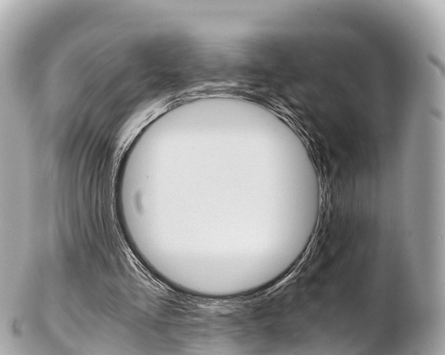 X0000103310293200808291158