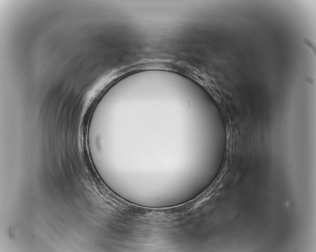 X0000103310294200808291158