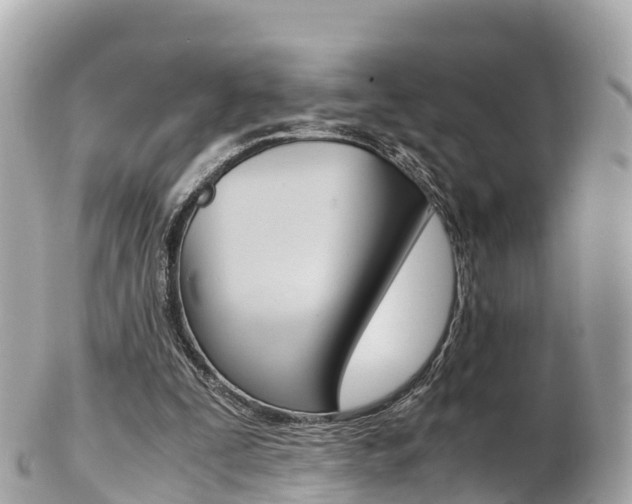 X0000103310295200808291158