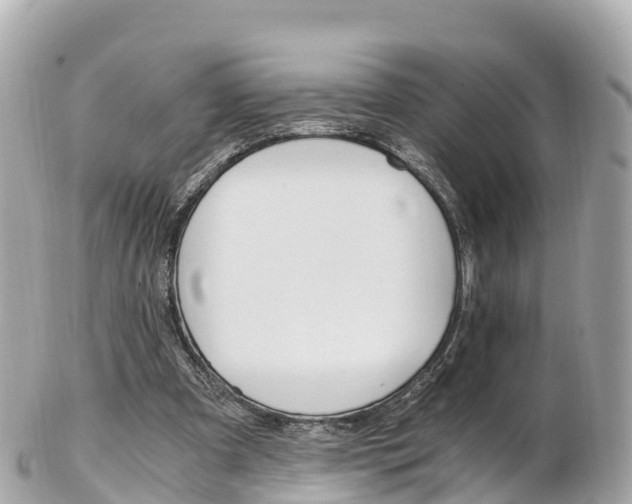 X0000103310297200808291158