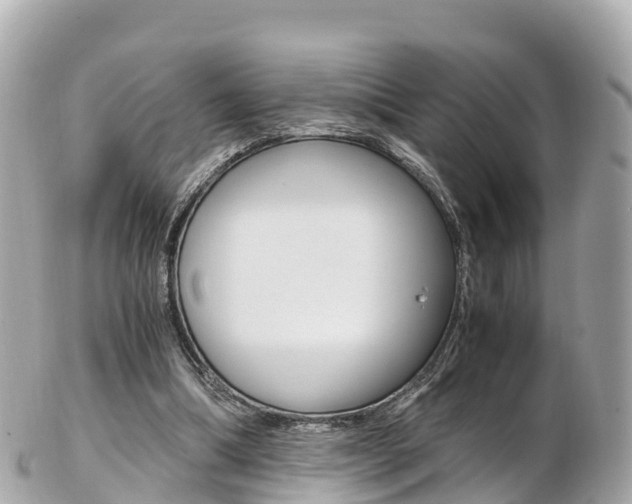 X0000103310298200808291158
