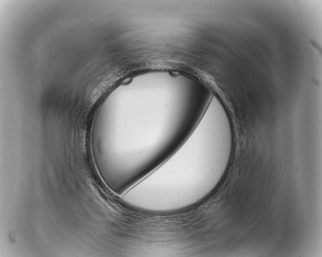 X0000103310299200808291158