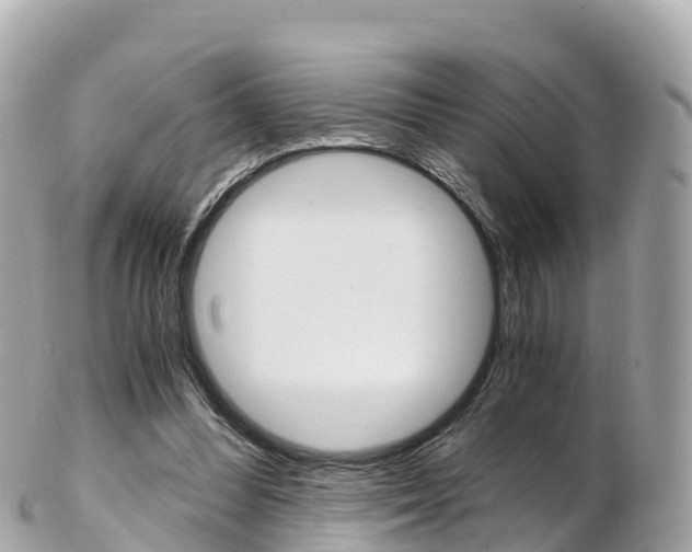 X0000103310300200808291158
