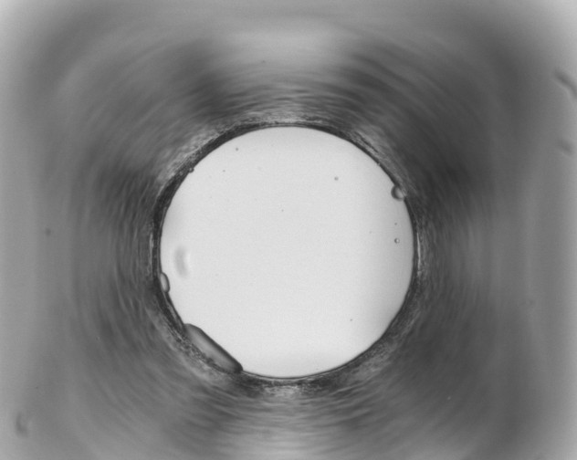 X0000103310301200808291158