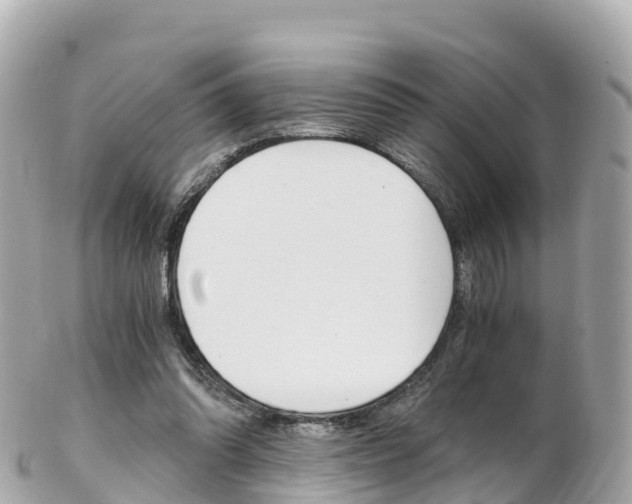 X0000103310302200808291158