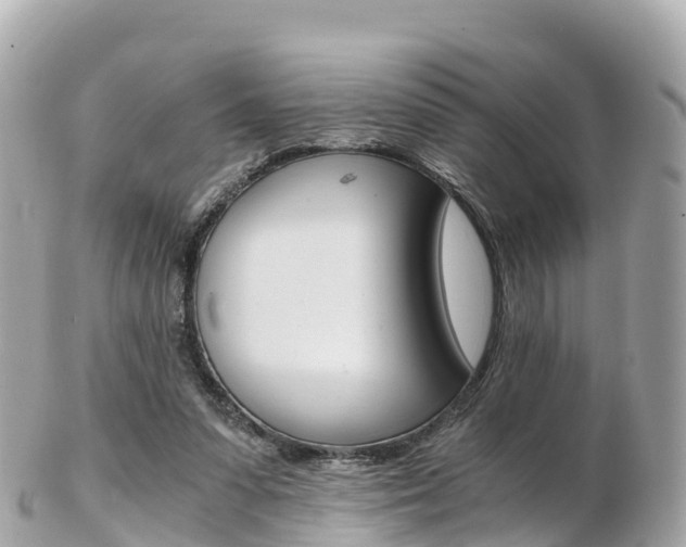X0000103310303200808291158