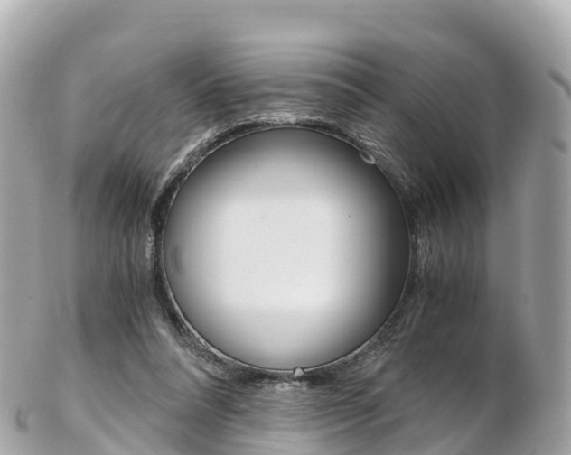 X0000103310304200808291158