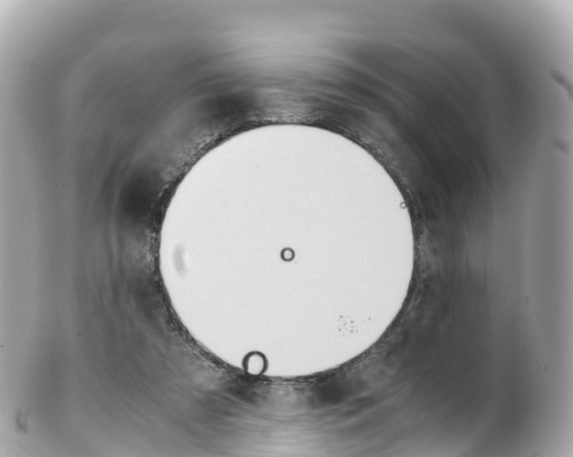 X0000103310305200808291158