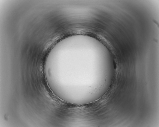 X0000103310306200808291158