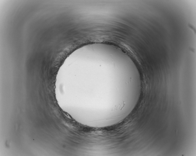 X0000103310307200808291158