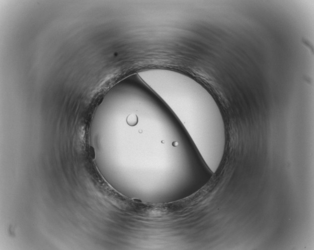 X0000103310308200808291158