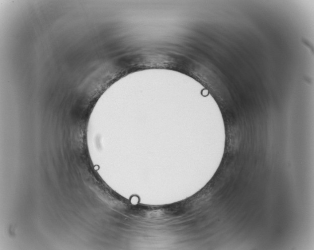 X0000103310309200808291158