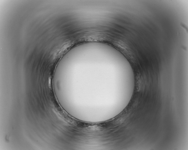 X0000103310310200808291158