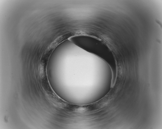 X0000103310312200808291158