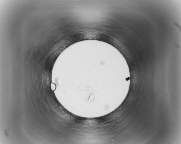 X0000103310313200808291158