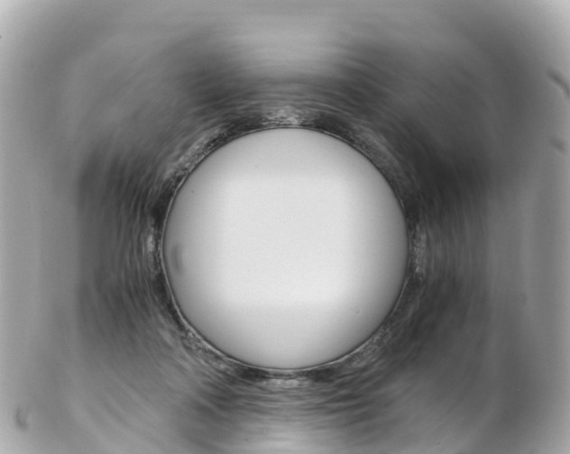 X0000103310314200808291158