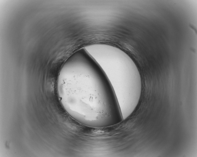 X0000103310315200808291158