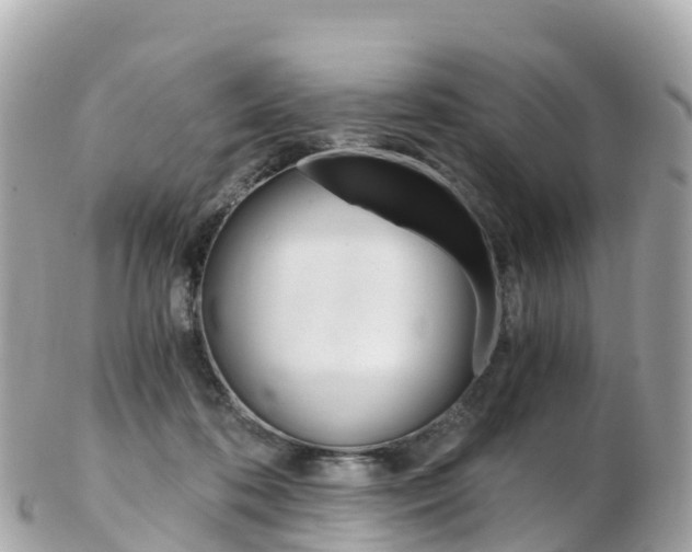 X0000103310316200808291158