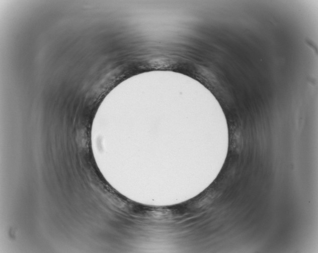 X0000103310317200808291158
