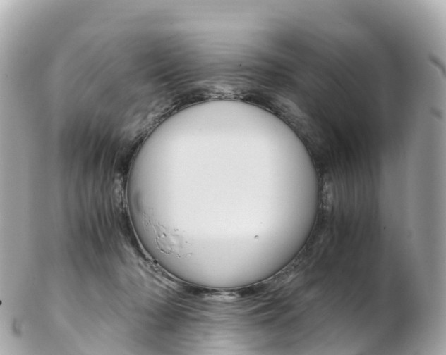 X0000103310318200808291158