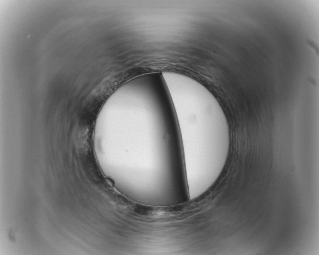 X0000103310319200808291158