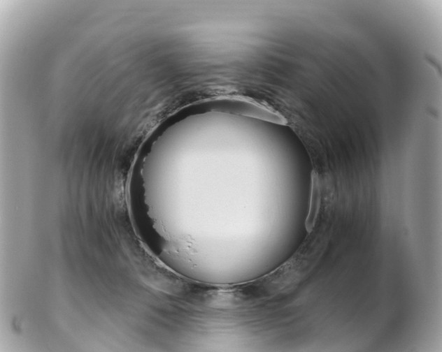 X0000103310320200808291158
