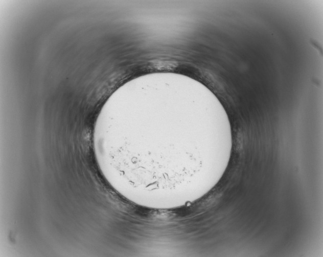 X0000103310321200808291158