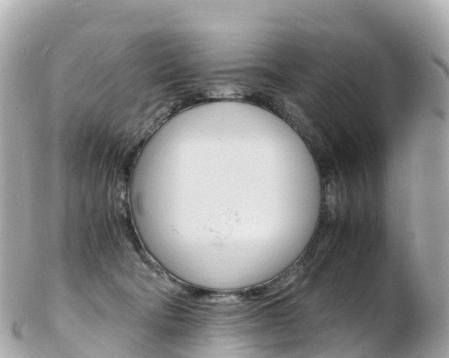 X0000103310322200808291158