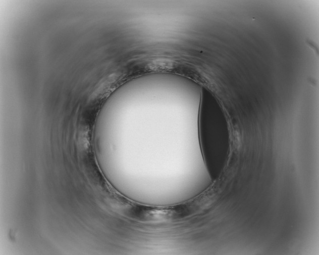 X0000103310323200808291158