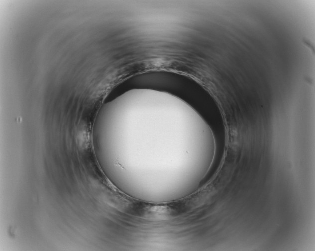 X0000103310324200808291158