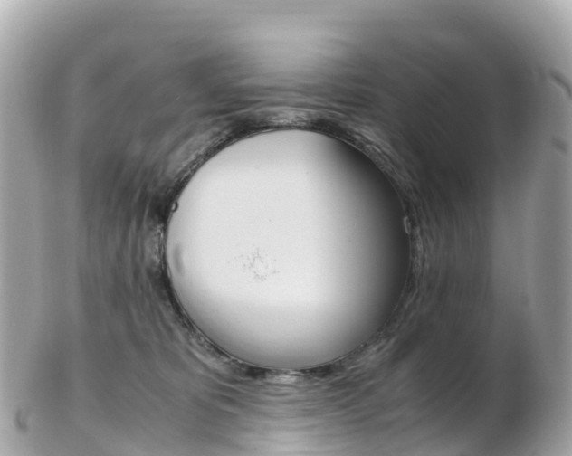 X0000103310325200808291158