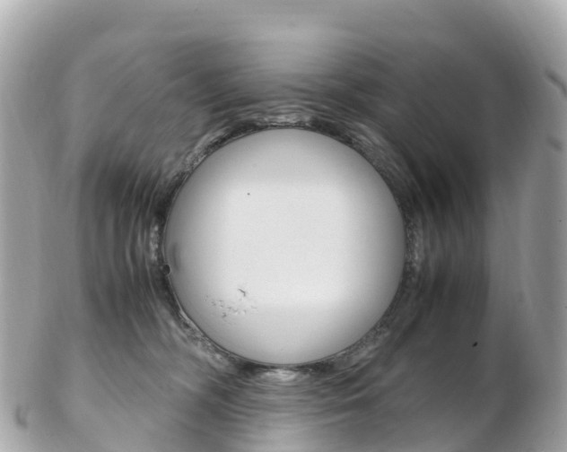 X0000103310326200808291158