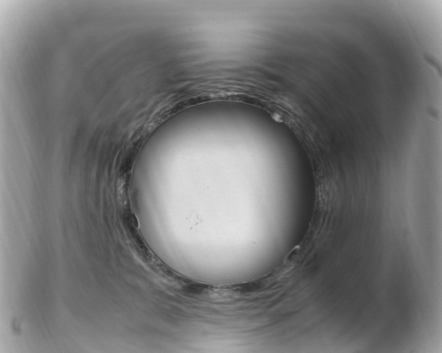 X0000103310327200808291158