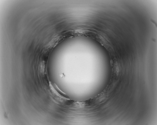 X0000103310328200808291158