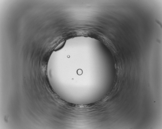 X0000103310329200808291158