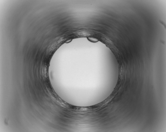 X0000103310330200808291158