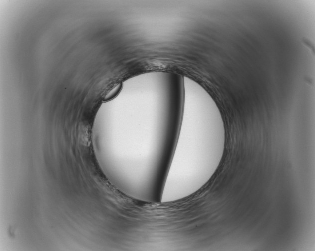 X0000103310331200808291158