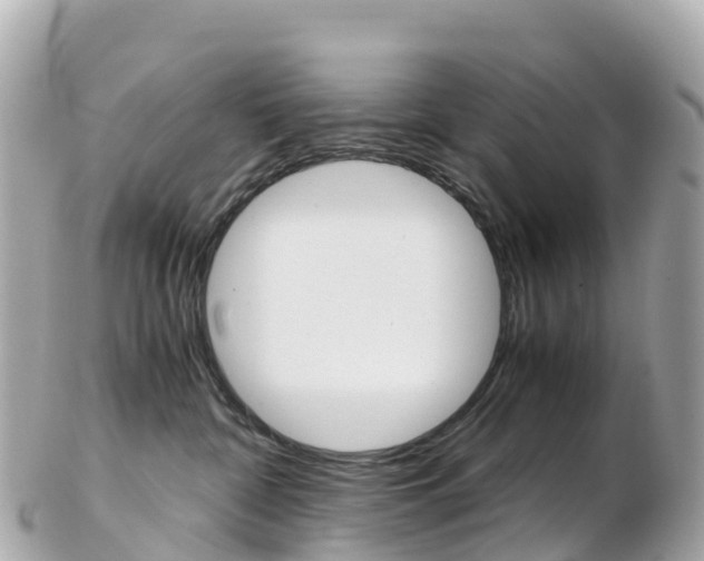 X0000103310332200808291158